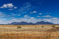 AUS - Stirling Range NP o2336